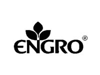 Engro Chemical Pakistan Limited